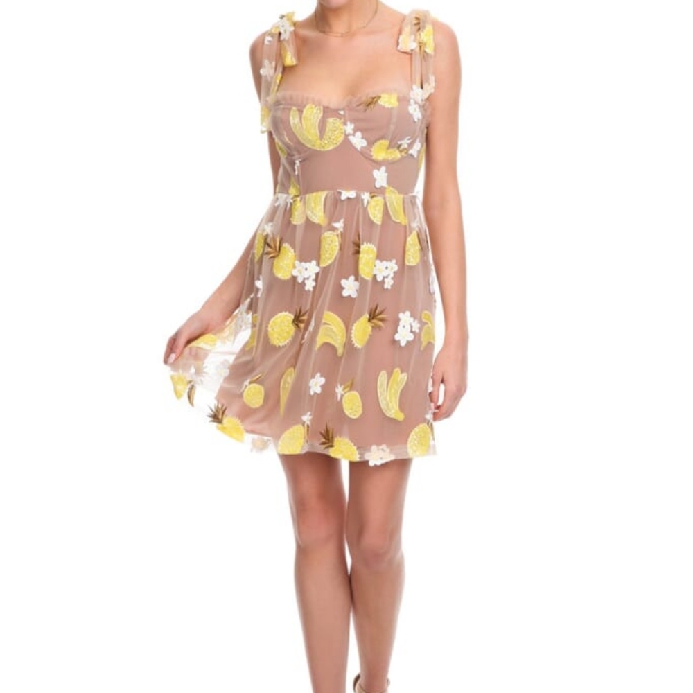 NWOT For Love and Lemons Fruit Punch Mini Dress